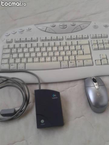 Tastatura, mouse fara cablu