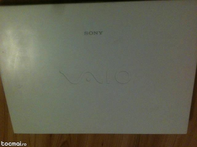 display sony vaio VGN- N130G