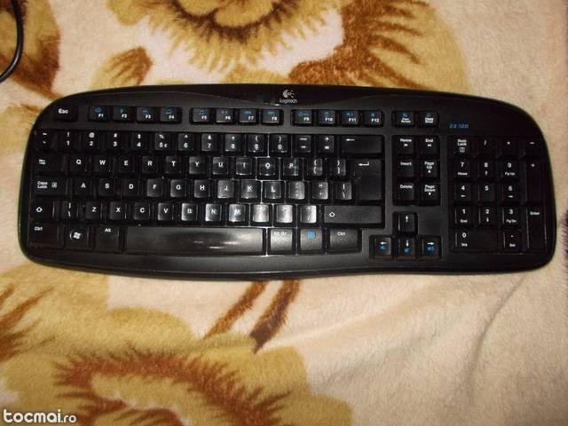 Tastatura multimedia Logitech ex100 wireless