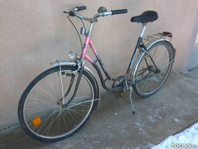 bicicleta dama