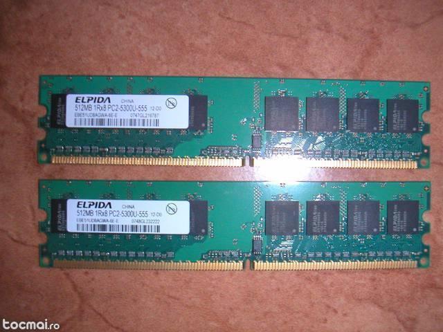 Memorie elpida 512mb 1r8 pc2- 5300- 555