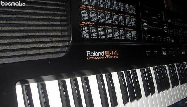 Orga Roland E14