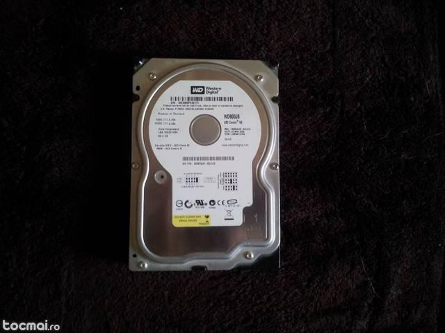 Hard- disk Western Digital 80 GB