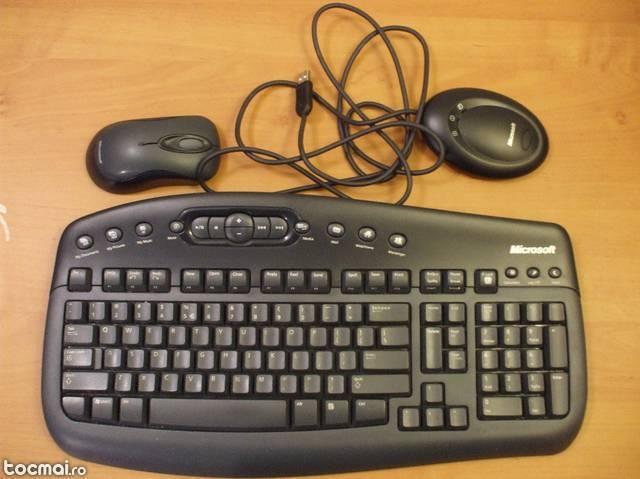 Kitt mouse si tastatura wireless Microsoft