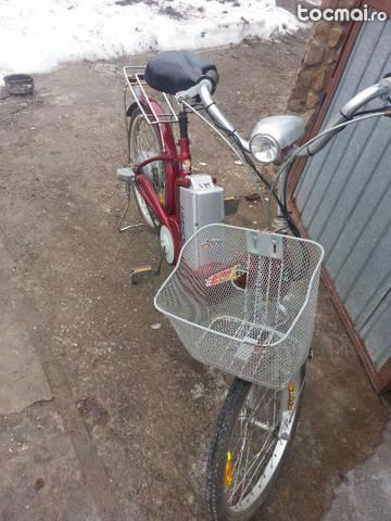 Bicicleta Electrica