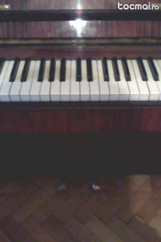 Pianina belarus