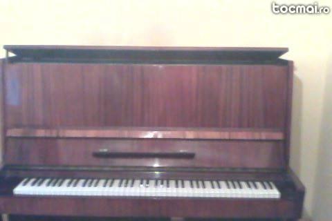 Pianina belarus