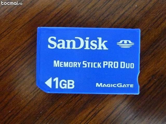 Card Memory Stick Pro- Duo 1GB