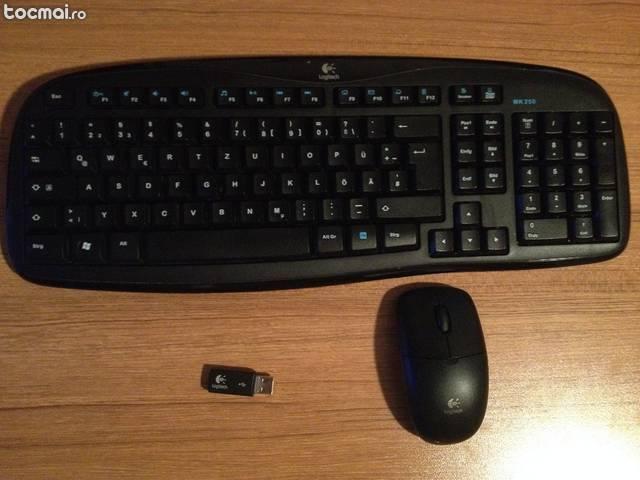 Tastatura cu caract. germane & mouse logitech mk250