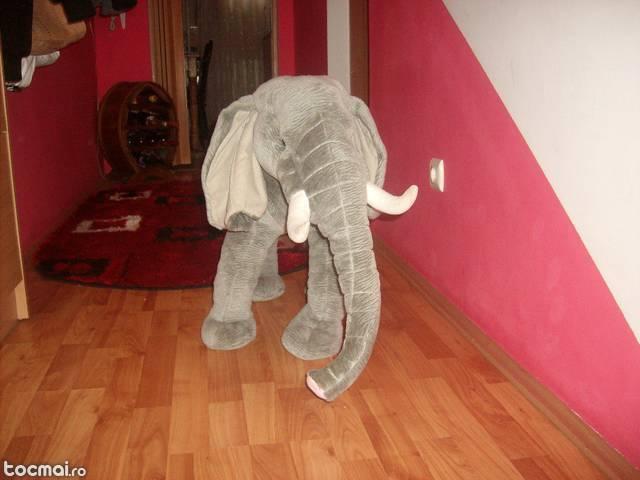 Animal plus Elefant