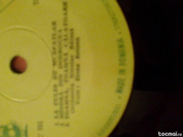 Vinil Elena Roizen