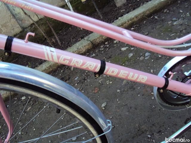 Bicicleta de dama de oras