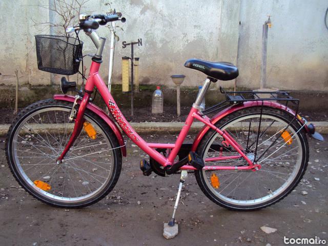 bicicleta de dama Pegasus