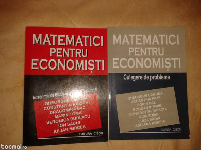 Matematici pentru economisti - manual+culegere