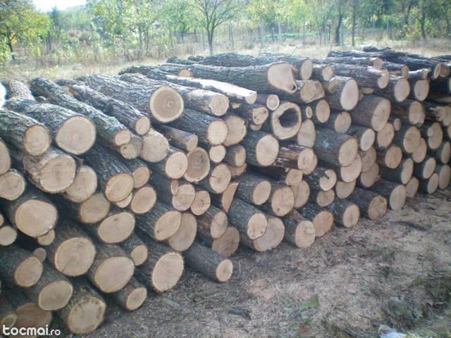 lemne de foc uscate