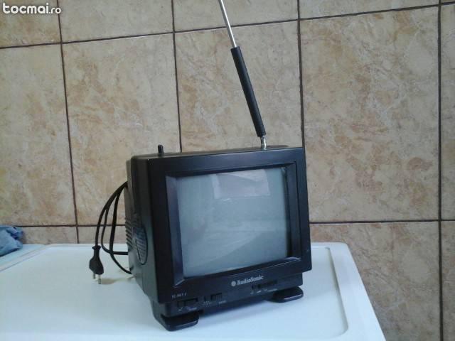 Tv portabil