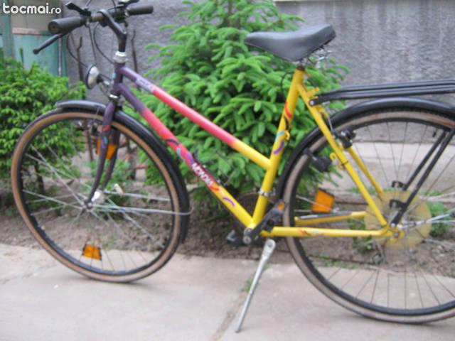 Bicicleta de dama