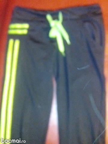 colant