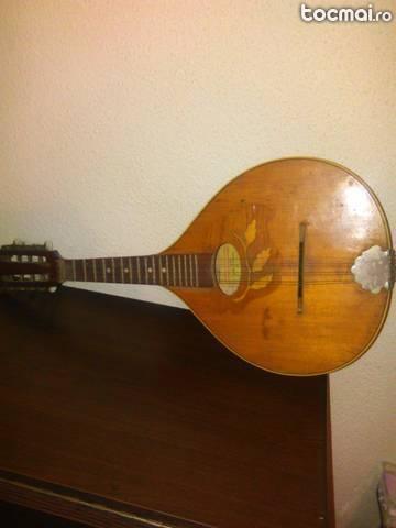 mandolina 1978