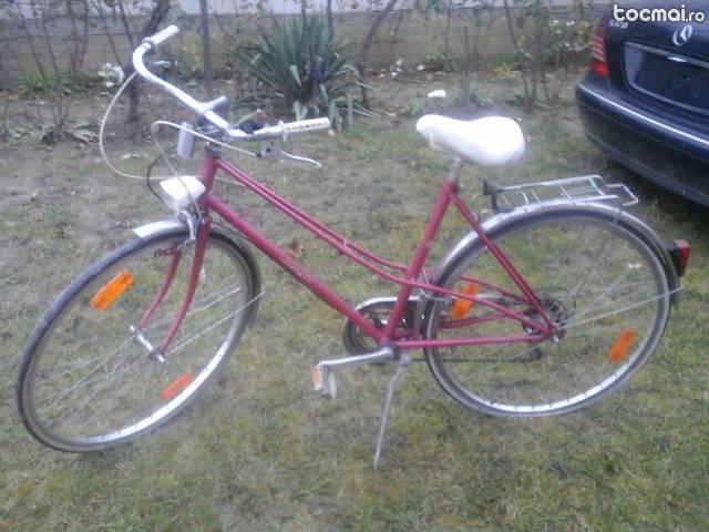 Bicicleta