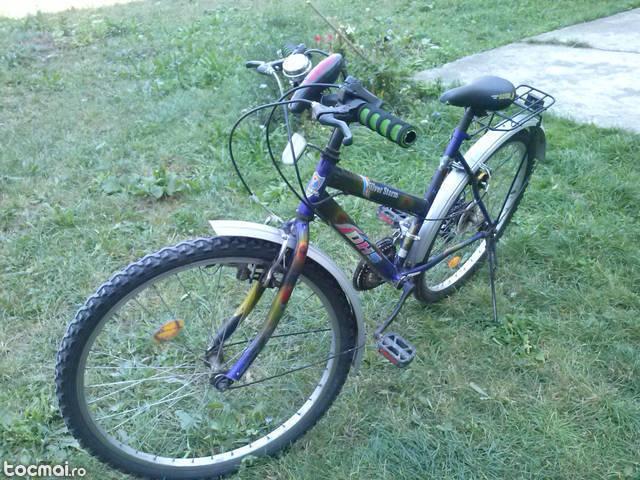 Bicicleta dama DHS