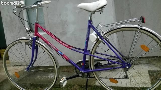 Bicicleta retro Manhattan(germana)