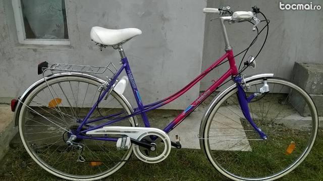 Bicicleta retro Manhattan(germana)