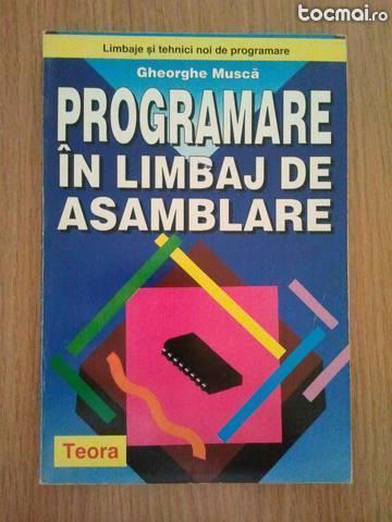 Programare in limbaj de asamblare - gheorghe musca , teora