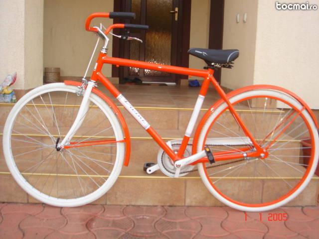 Bicicleta VICINI