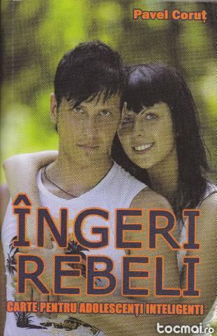 Ingeri rebeli