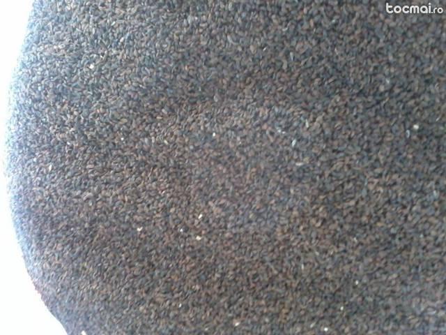 Seminte facilia