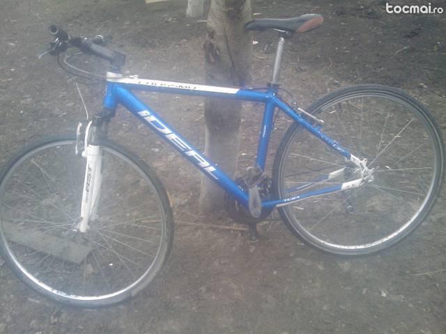 Bicicleta ideal