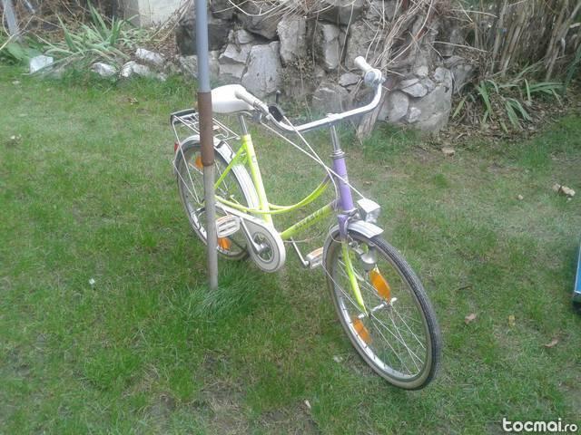 bicicleta fete