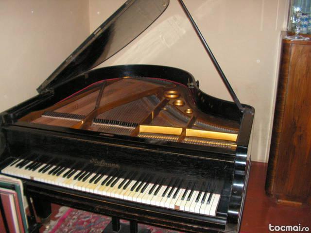 Pian Hofmann utilizat de o profesoara de pian