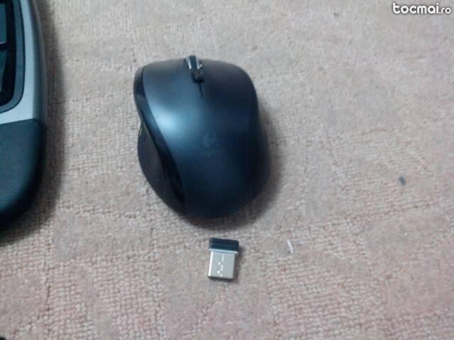 tastatura si mouse