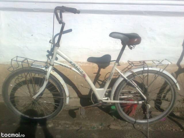 bicicleta trigon de dama