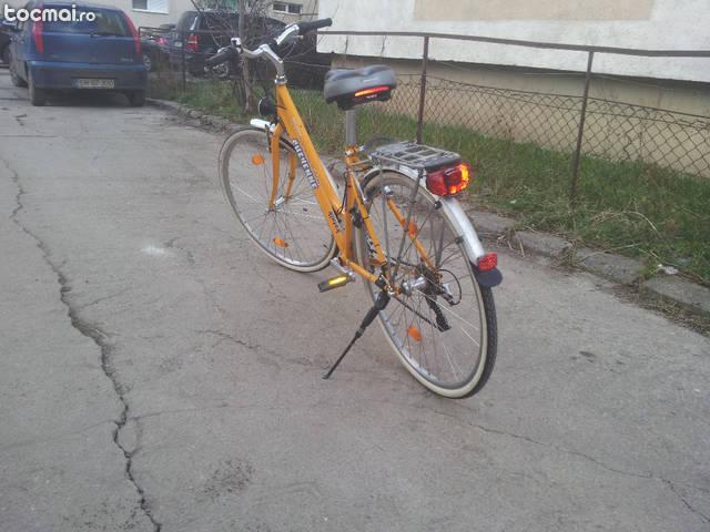 bicicleta cheyenne