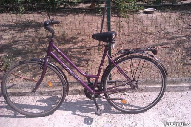 Bicicleta Pegasus Dama