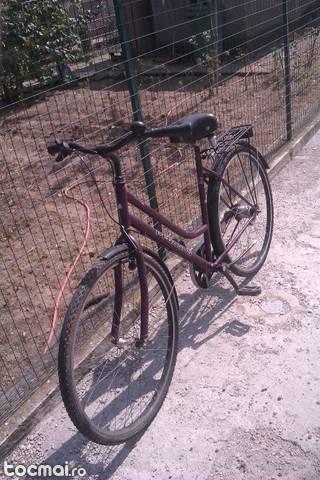 Bicicleta Pegasus Dama