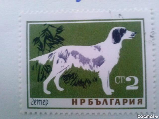 Colectie completa timbre Bulgaria