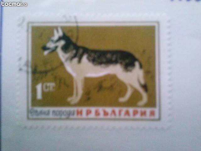 Colectie completa timbre Bulgaria