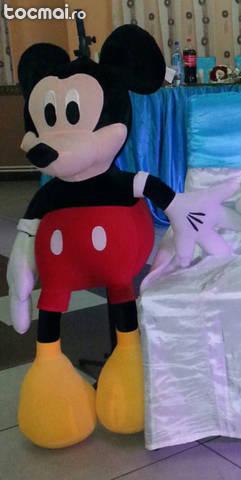 Mickey mouse si Minnie plus
