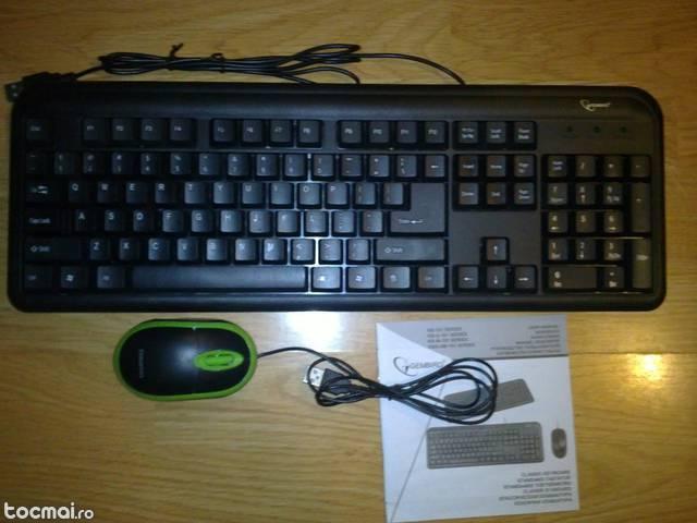 Tastatura + Mouse
