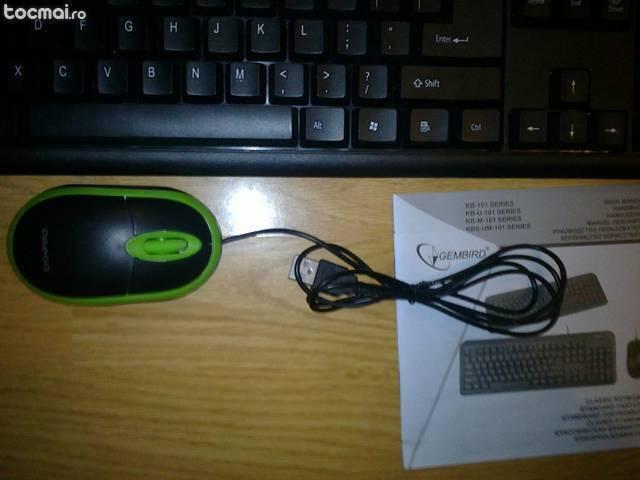 Tastatura + Mouse