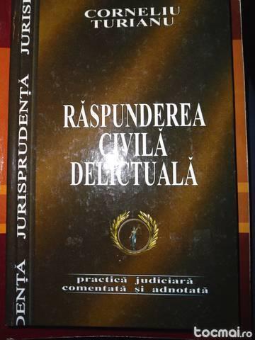 Raspunderea civila delictuala
