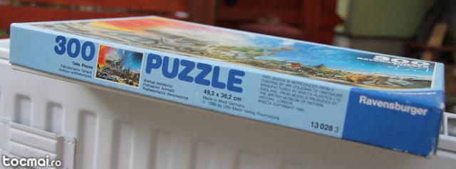 Puzzle 300 piese