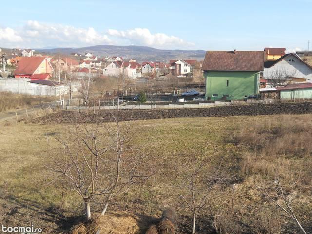 Teren Intravilant . Valea Sigmirului - nr 95 13. 5 Arii