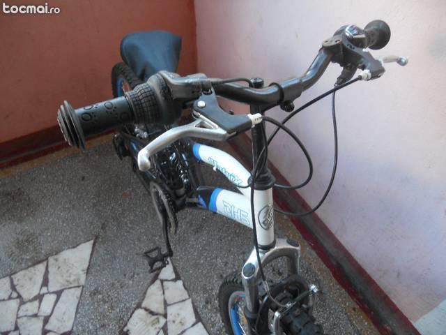 Bicicleta dhs