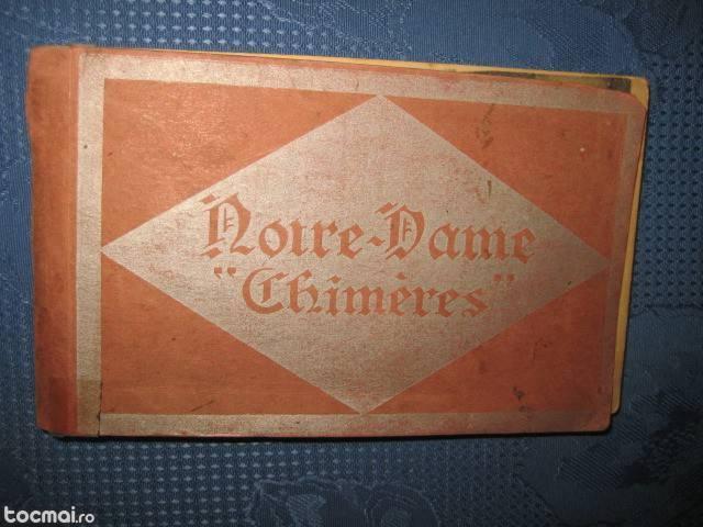 Album vederi vechi- Notre Dame- Chimeres