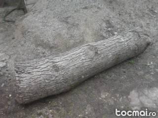lemn nuc